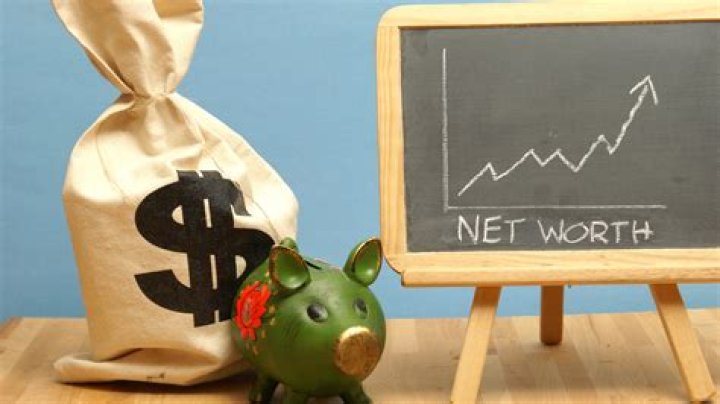 Alexetics Net Worth