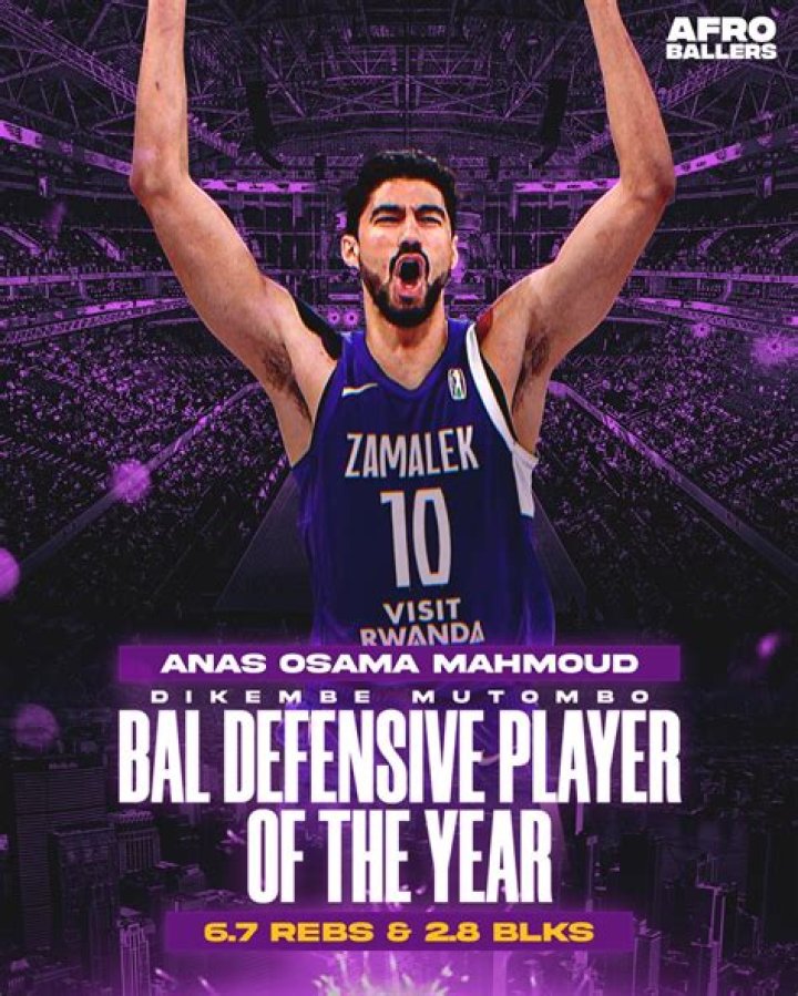 Anas Osama Mahmoud