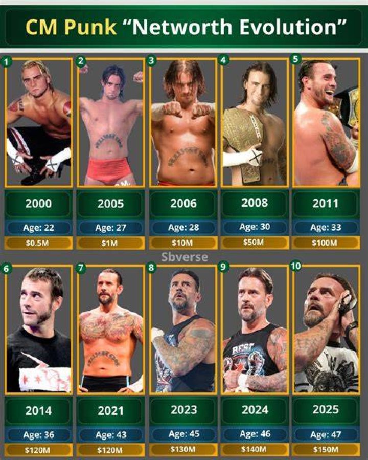 CM Punk Net Worth-$85 Million