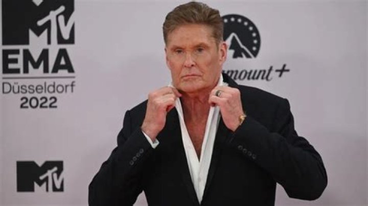 David Hasselhoff Net Worth