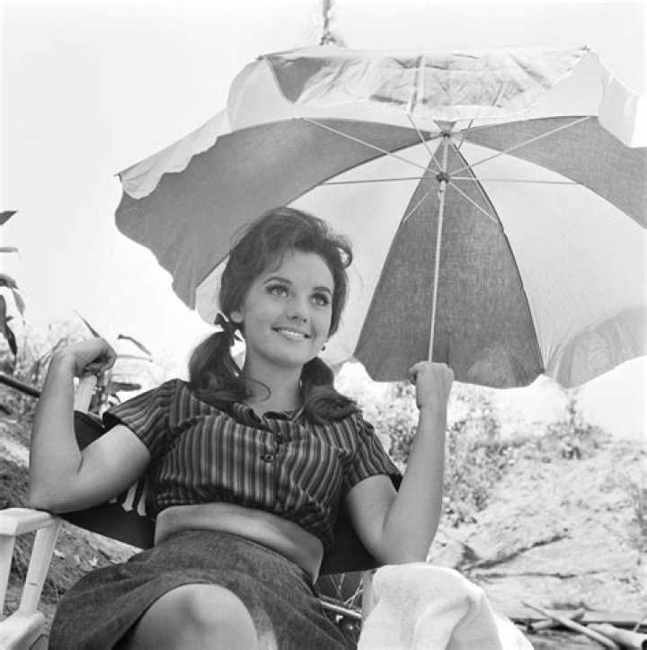 Dawn Wells Net Worth
