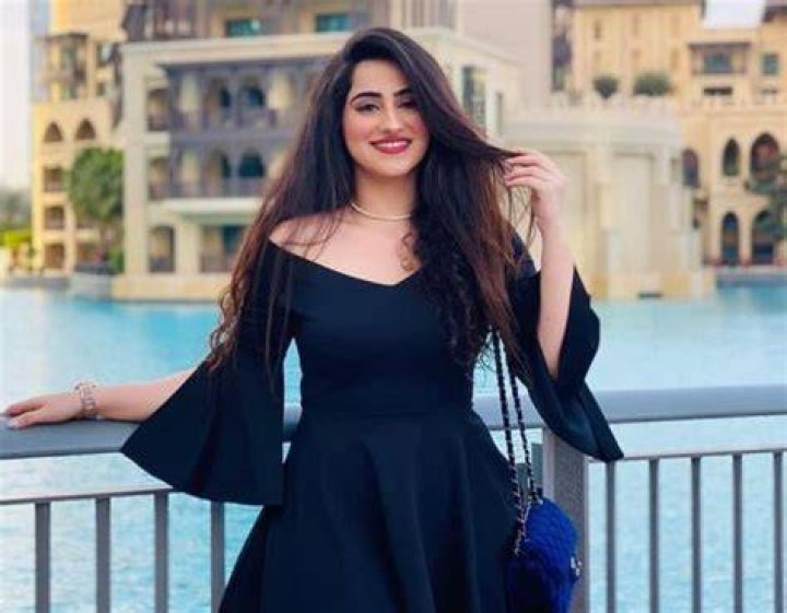 Diana Khan Net Worth
