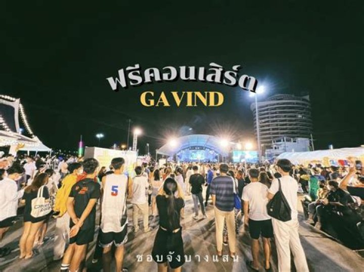 Gavin.D