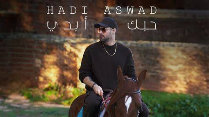 Hadi Aswad
