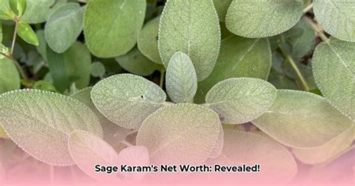 Sage Karam Net Worth 2024