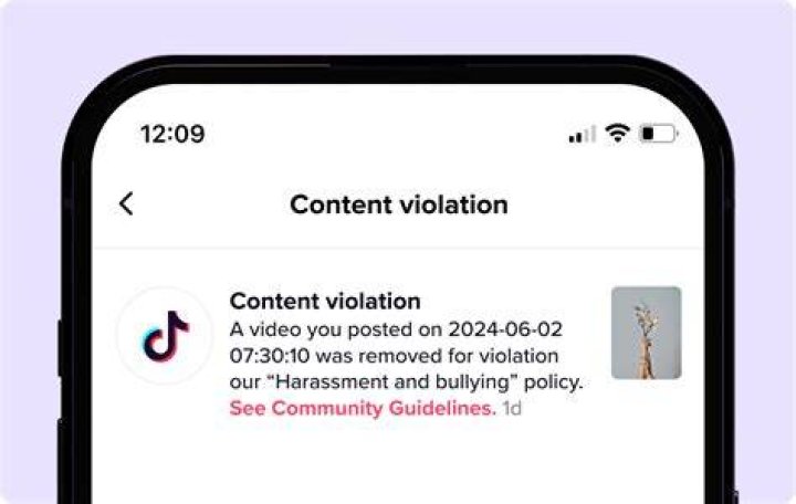 TIkTok video removed notification