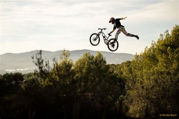 Tomas Lemoine